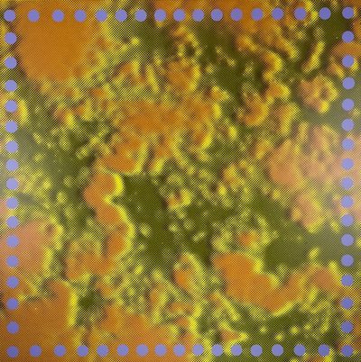 Harold Cohen · 1967 · Print