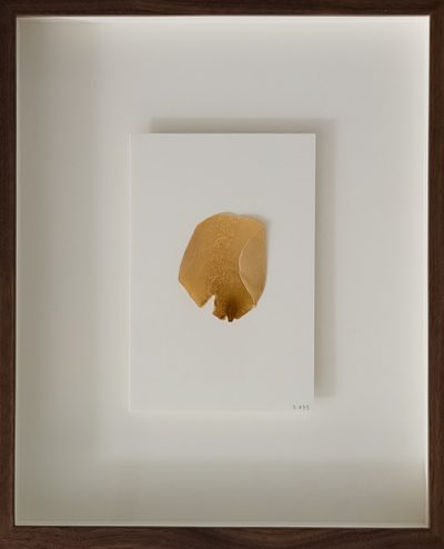 Bitchcoin 05.075 pressed petal · Sarah Meyohas · 2021 · Mixed Media