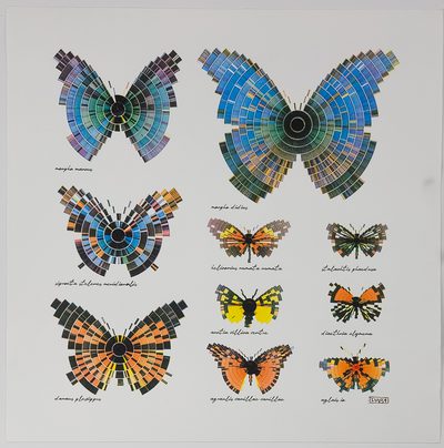 Butterflies Kro%CC%88hnert · Daniela Kröhnert · 2024 · Plotter Drawing