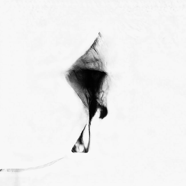 Headwind · Mario Klingemann · 2017-2021 · NFT/Digital