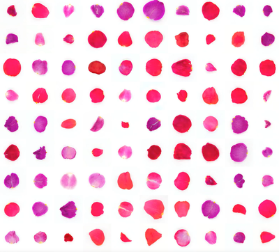 Infinite Petals 10x102064 · Sarah Meyohas · 2025