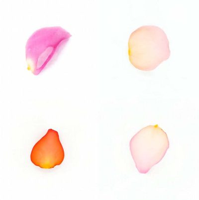Infinite Petals 2x23648 · Sarah Meyohas · 2025