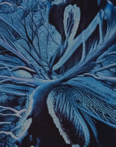 Nondescriptives 27 · Ivona Tau · 2024 (circa) · Print