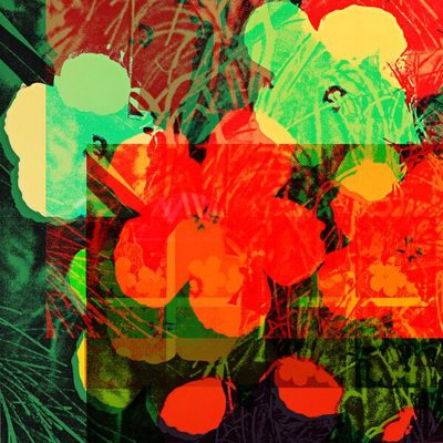 OG flowers 13 · Cornelia Sollfrank · 2010 · NFT/Digital