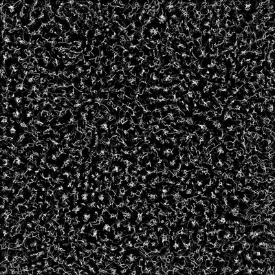 P05-A-P5 · Casey Reas · 2004-2010 · Print