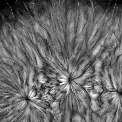 P06-A-P4 · Casey Reas · 2004-2010 · Print