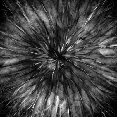 P10-A-P1 · Casey Reas · 2004-2010 · Print