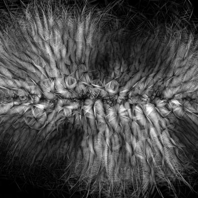P13-A-P2 · Casey Reas · 2004-2010 · Print